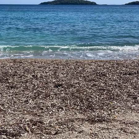 Διαμέρισμα Apartmaji Ziva *